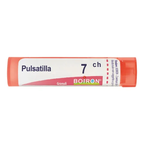 BO.PULSATILLA*7CH 80GR 4G BO.PULSATILLA*7CH 80GR 4G