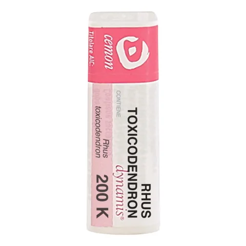 RHUS TOXICODENDRON DYN*200K GL