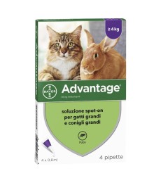 Advantage Spot-On 80 mg per Gatti e Conigli 4 Pipette - Antiparassitario 