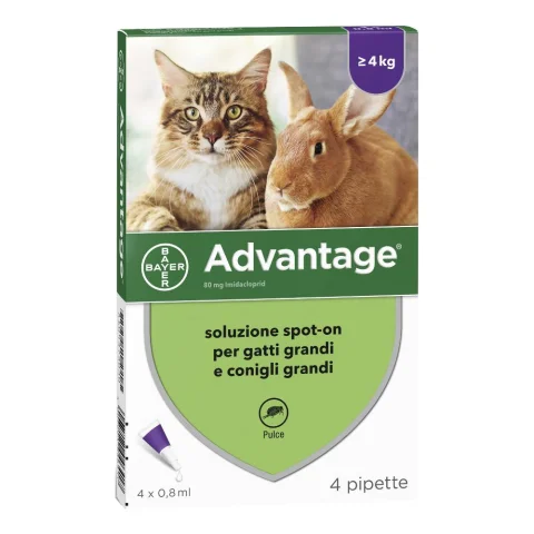 Advantage Spot-On 80 mg per Gatti e Conigli 4 Pipette - Antiparassitario