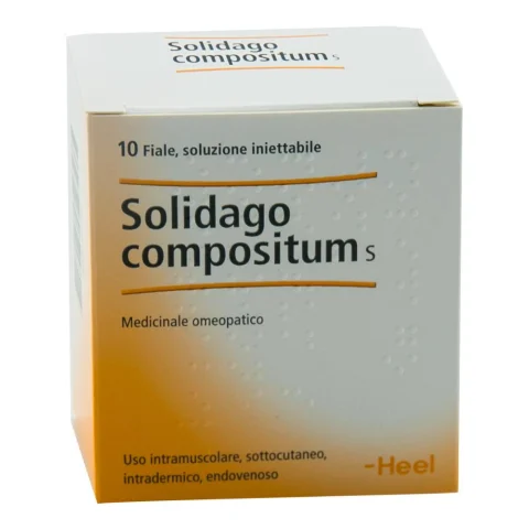 SOLIDAGO COMP 10FL HEEL