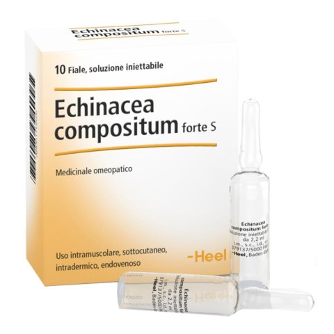 ECHINACEA COMP 10FL FORTE HEEL ECHINACEA COMP 10FL FORTE HEEL