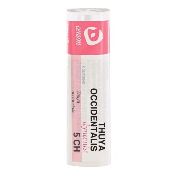 THUYA OCCIDENT 5CH GR UND