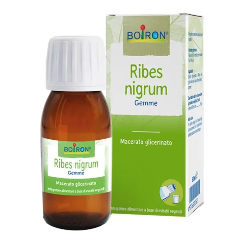 BO.RIBES NIGRUM 7CH TUBO BO.RIBES NIGRUM 7CH TUBO