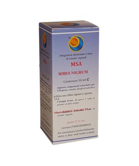 MSA RIBES NIGRUM 50ML