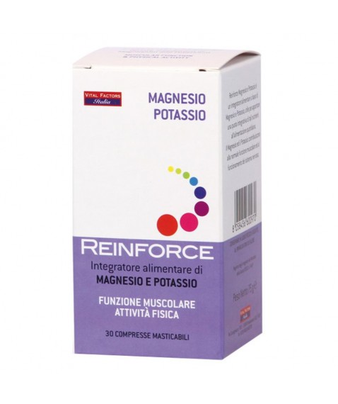 REINFORCE MAGNESIO+K 30CPR