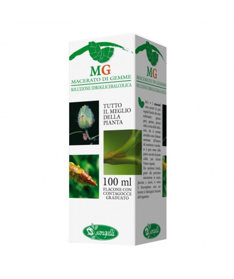 NOCE 100ML MG