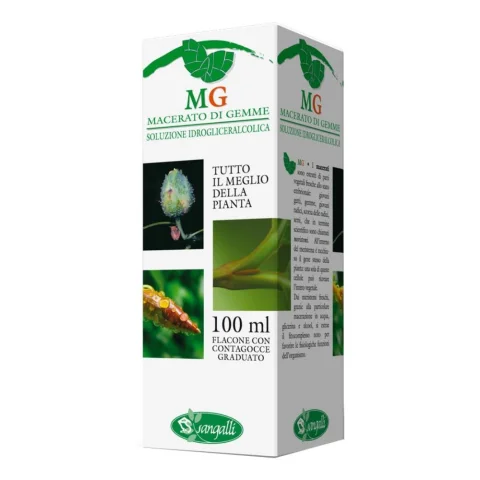 QUERCIA 100ML MG QUERCIA 100ML MG