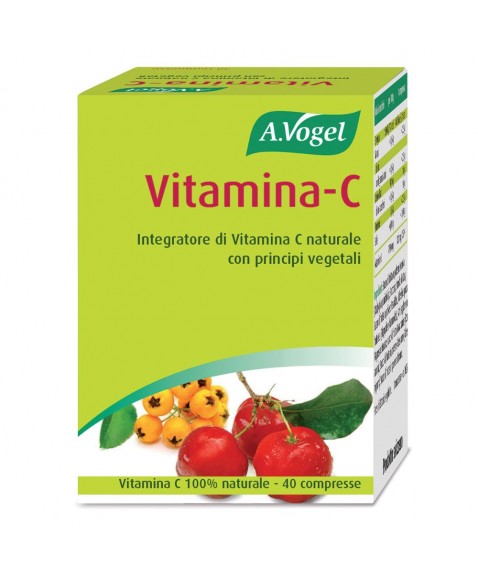 VITAMINA C 50PAST FDL