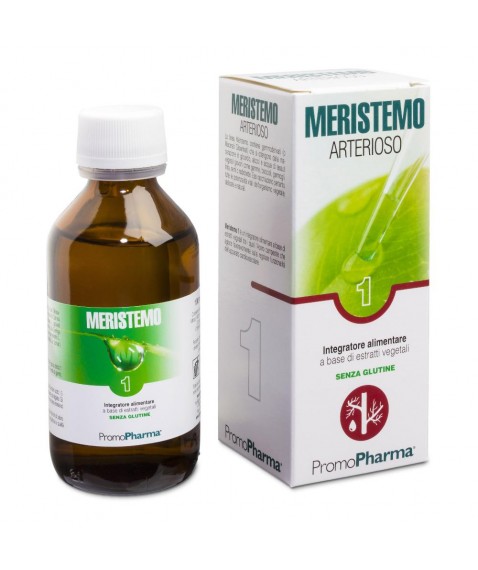 MERISTEMO YNKHAS 1 100ML