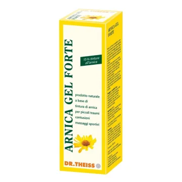 ARNICA GEL FTE 100 DR.THEISS