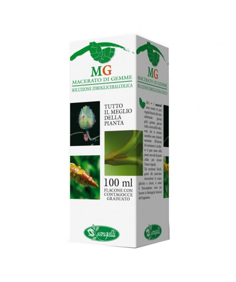 BETULLA 100ML MG