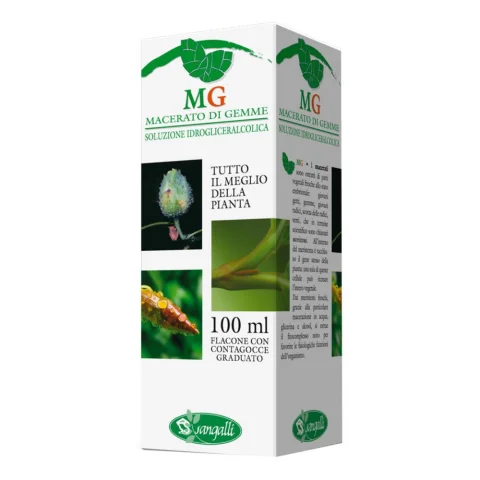 ROSMARINO 100ML MG ROSMARINO 100ML MG