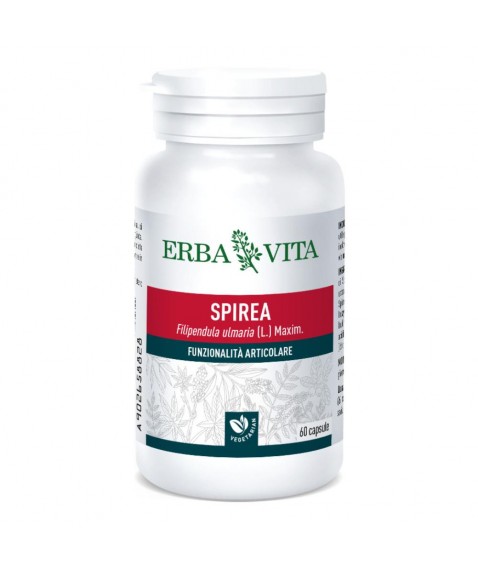 Spirea Ulmaria 60cps 400mg