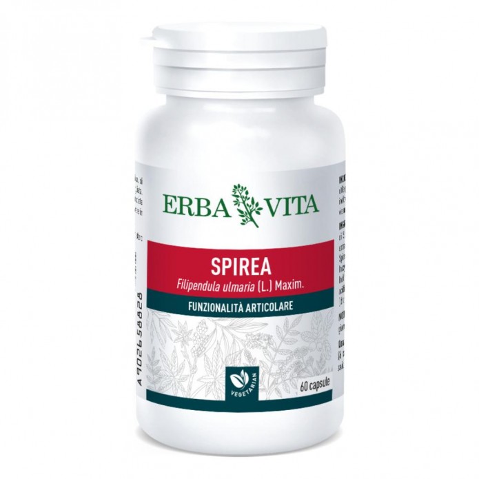 Spirea Ulmaria 60cps 400mg