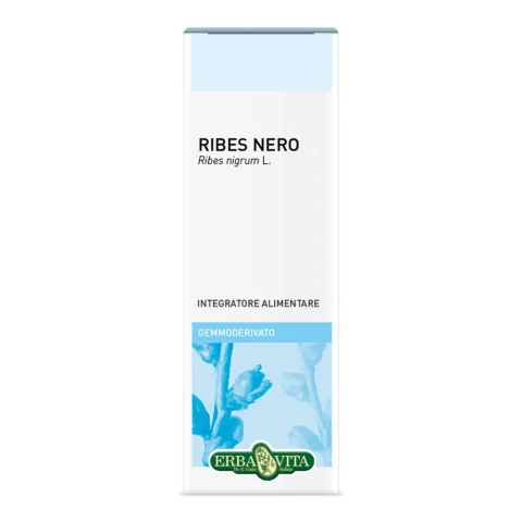 GEMMODERIVATO Ribes N.50ml EBV GEMMODERIVATO Ribes N.50ml EBV