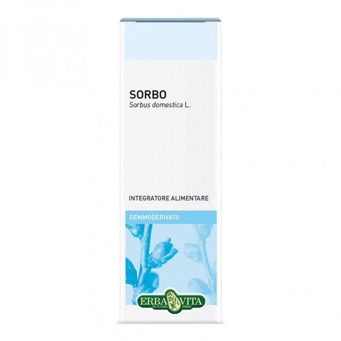 GEMMODERIVATO SORBO 50ML