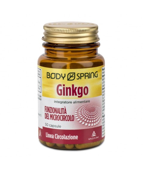 BS GINKGO 120MG 50CPS BSP