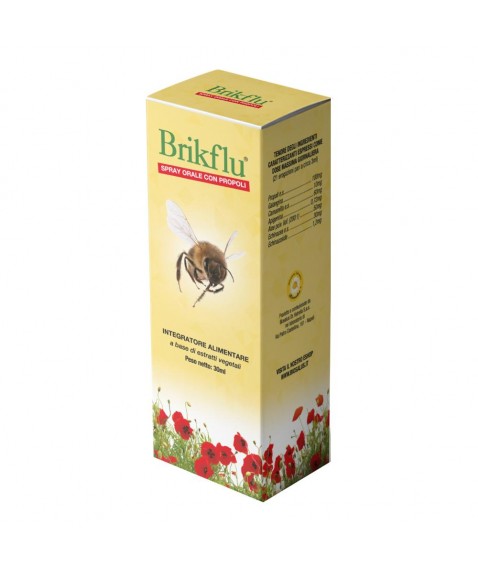 BRIKFLU Spray Nat.30ml