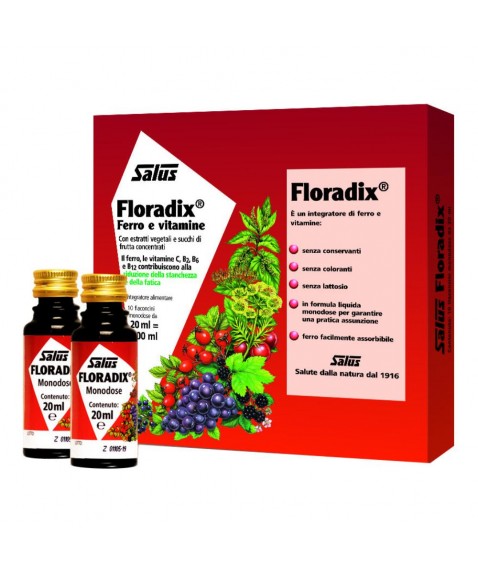 FLORADIX-FERRO 10 FLACONCINI20ML