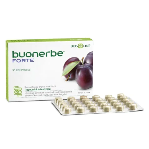BUONERBE REGOLA FT 30TAV BUONERBE REGOLA FT 30TAV