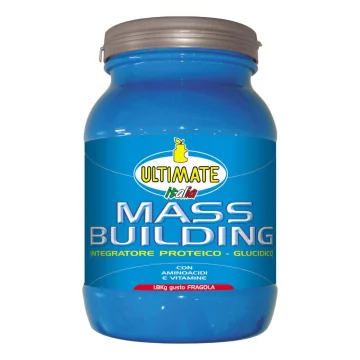 ULTIMATE MASS BUILDING FRAG1,8
