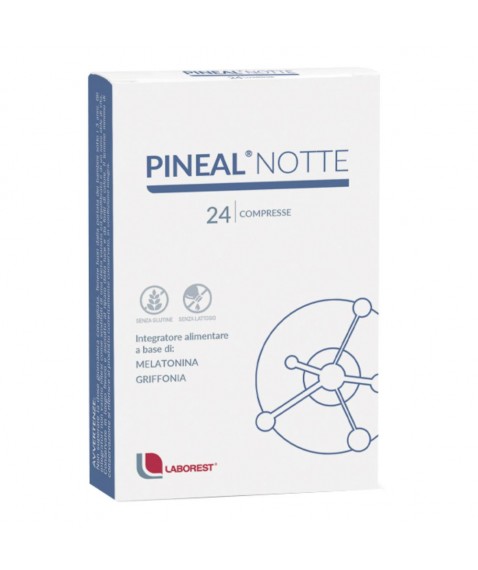 PINEAL NOTTE 24CPR