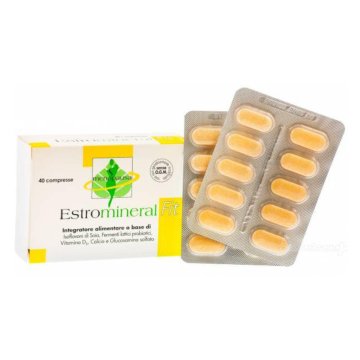 ESTROMINERAL FIT INTEG 40CPR ESTROMINERAL FIT INTEG 40CPR