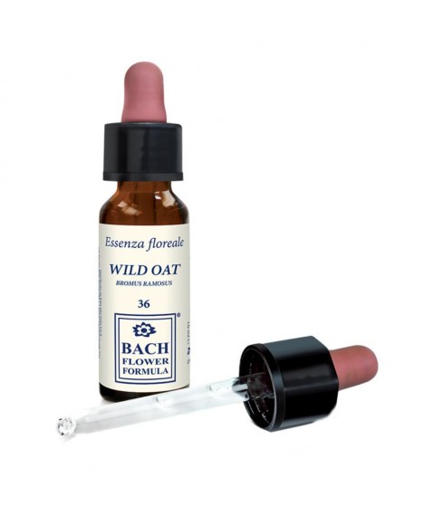 WILD OAT ORIGINAL 10ML GTT