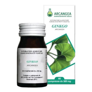 GINKO BILOBA 60CPS 500MG GINKO BILOBA 60CPS 500MG