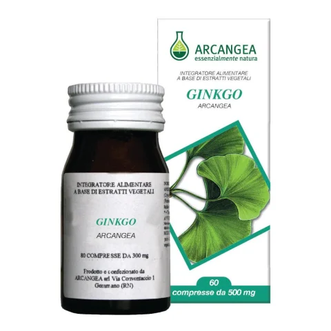 GINKO BILOBA 60CPS 500MG