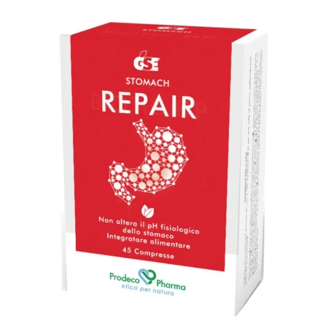 GSE REPAIR 45CPR GSE REPAIR 45CPR