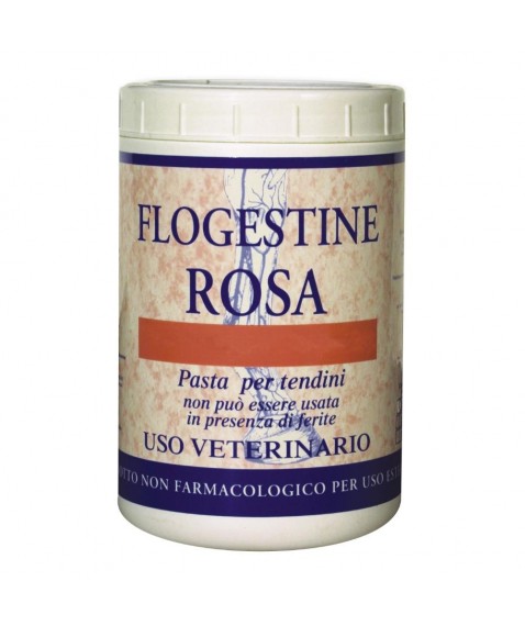 FLOGESTINE ROSA PASTA 1KG