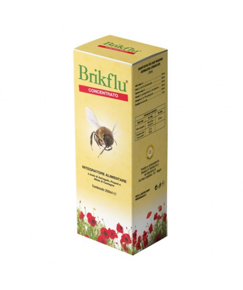 BRIKFLU Scir.200ml