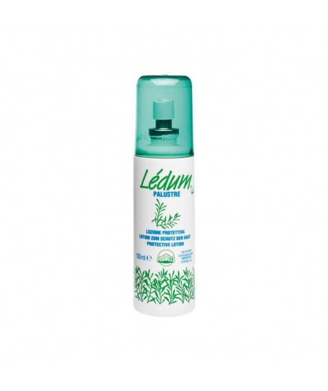 LEDUM PALUSTRE LOZ SPR 100ML