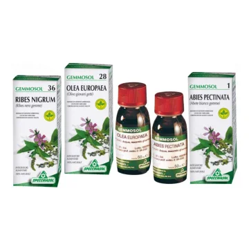 Gemmosol 40 Lampone 50ml