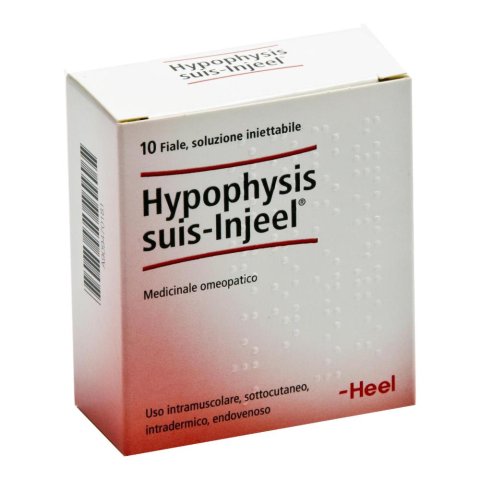 HYPOPHYSIS SUIS INJEEL HEEL HYPOPHYSIS SUIS INJEEL HEEL
