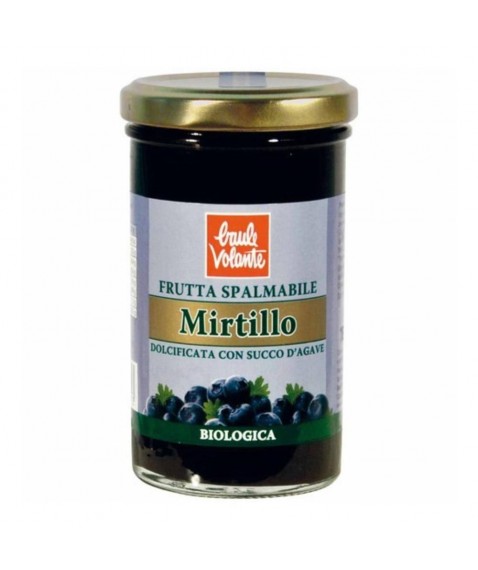 FRUTTA SPALMAB MIRTILLO 280G