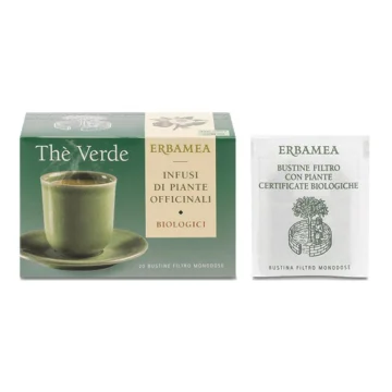 THE VERDE 20BUST FILTRO ERBAMEA