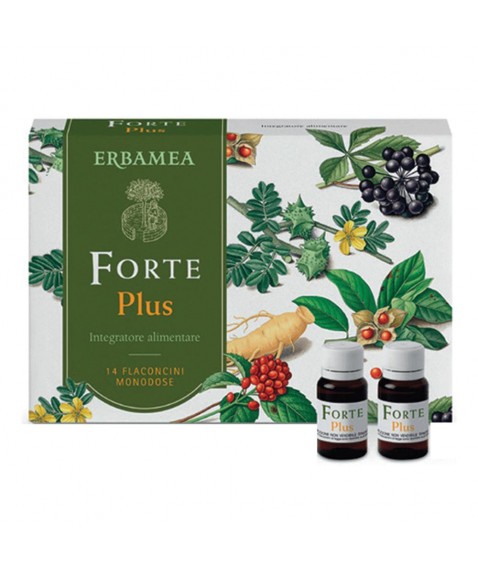 FORTE PLUS 14FL DA 10ML S/GL ERB