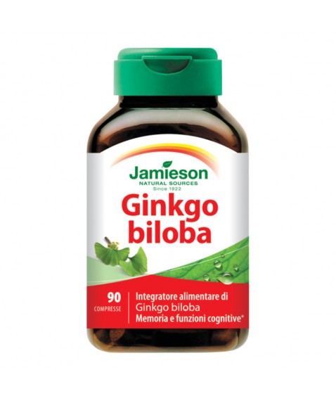 GINKGO BILOBA 120 TM 90CPR