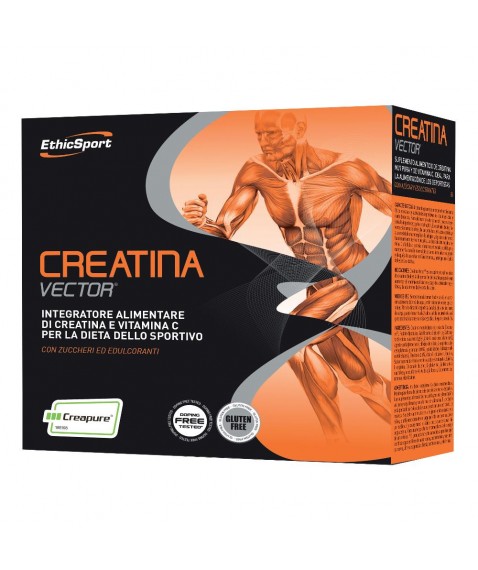 CREATINA VECTOR 20BUST 8G