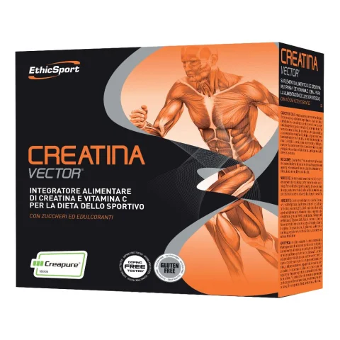 CREATINA VECTOR 20BUST 8G CREATINA VECTOR 20BUST 8G
