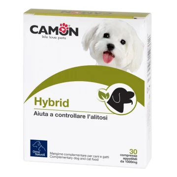 HYBRID ORME NAT.60 Cpr