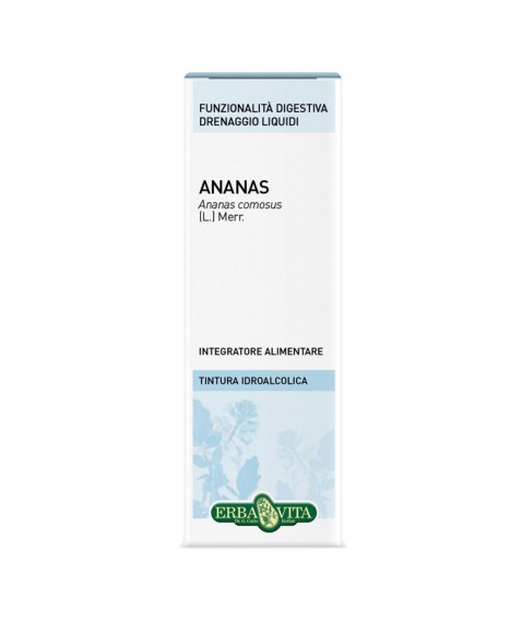 ANANAS GAMBO SOL IAL 100ML