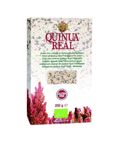 QUINUA REAL MIX QUINOA 3COLORI