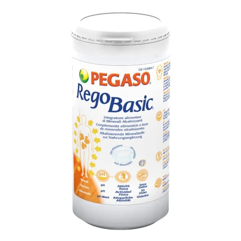 REGOBASIC POLVERE 250G REGOBASIC POLVERE 250G