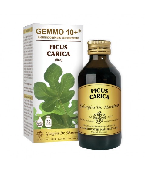 FICUS CARICA Gemmo 10+100ml