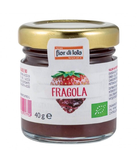 MINICOMPOSTA ALLA FRAGOLA 40G