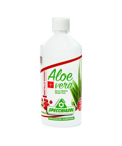 SUCCO ALOEVERA+ ALOE/MIRT R1LT